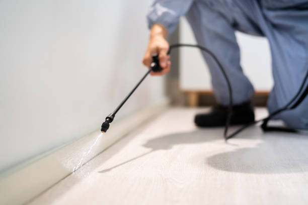 Licensed Rodent Control service in Cottonwood, AL - Nex Pest Control