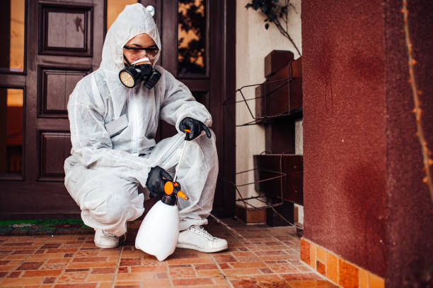 Reliable Rodent Control contractor in Cottonwood, AL by Nex Pest Control