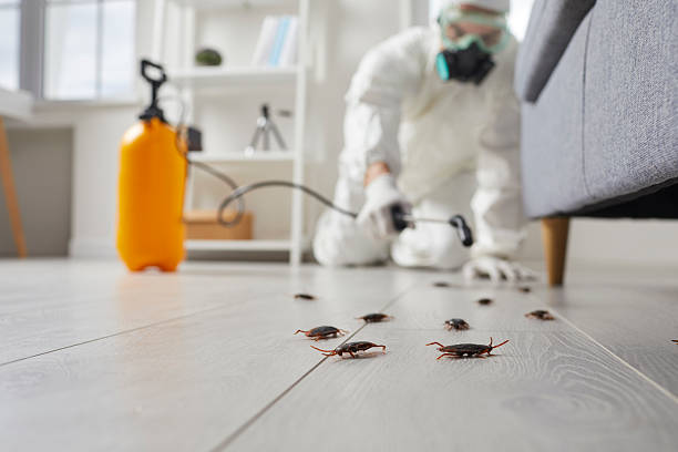 Trusted Cockroach Control service in Cottonwood, AL - Nex Pest Control