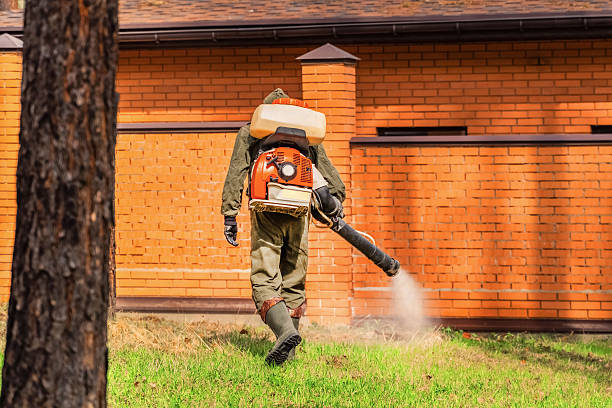Trusted Rodent Control service in Cottonwood, AL - Nex Pest Control